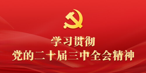 【专题】学习贯彻党的二十届三中全会精神