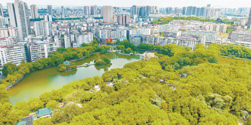 城市绿芯 幸福“氧”吧