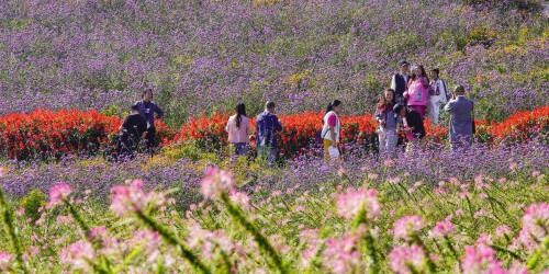 双节将至 旅游“升温”