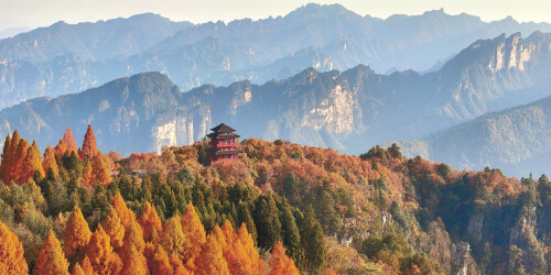 初冬揽胜天子山