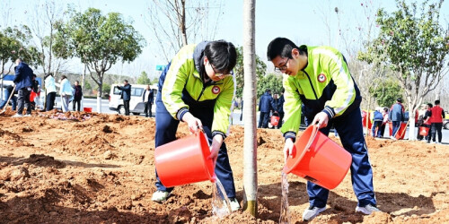 春来植树添新绿