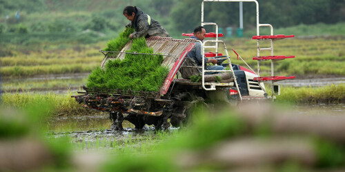 图集 | 湖湘春潮涌  沃野耕作忙