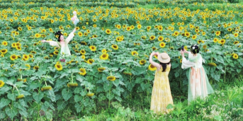 田园风光惹人醉