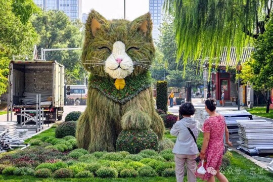 软萌“草猫”亮相日坛公园，金秋游园再添新景
