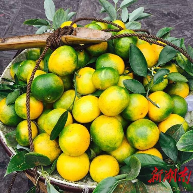 新湖南国庆直播丨凤凰的夜 梦幻的夜