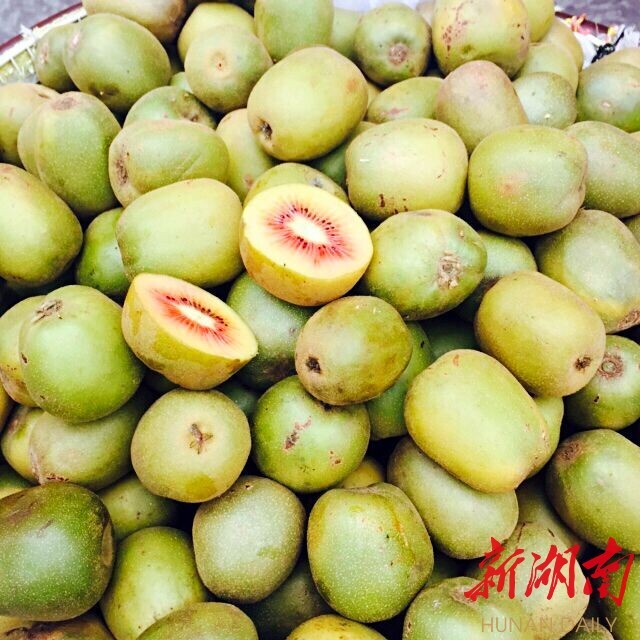 新湖南国庆直播丨凤凰的夜 梦幻的夜