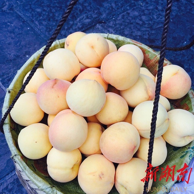 新湖南国庆直播丨凤凰的夜 梦幻的夜