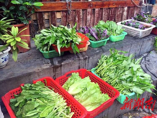 新湖南国庆直播丨凤凰的夜 梦幻的夜