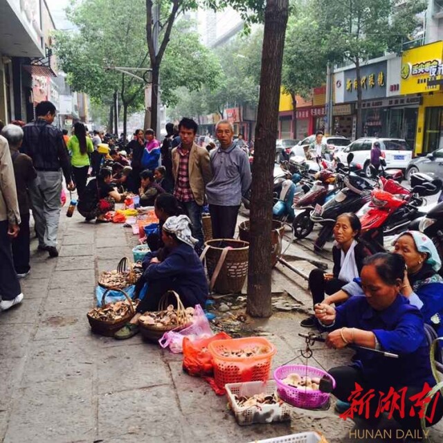 新湖南国庆直播丨凤凰的夜 梦幻的夜