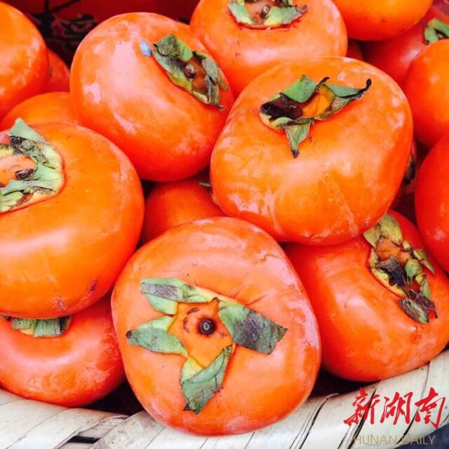 新湖南国庆直播丨凤凰的夜 梦幻的夜