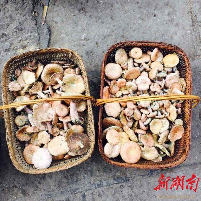 新湖南国庆直播丨凤凰的夜 梦幻的夜