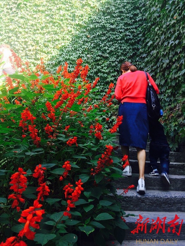 新湖南国庆直播丨凤凰的夜 梦幻的夜