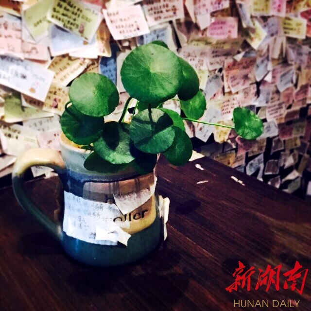 新湖南国庆直播丨凤凰的夜 梦幻的夜