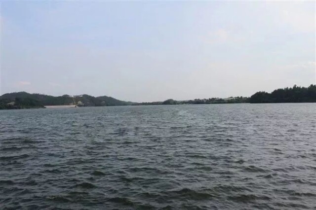 水精灵滑水夏令营丨火热报名中