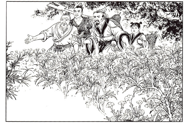 脏腑精华┃药酒古而有之 神医华佗就是一位药酒大家