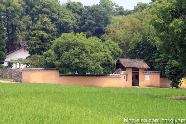 名医来了┃老中医是彭总的老乡 被他的学生写“活“了