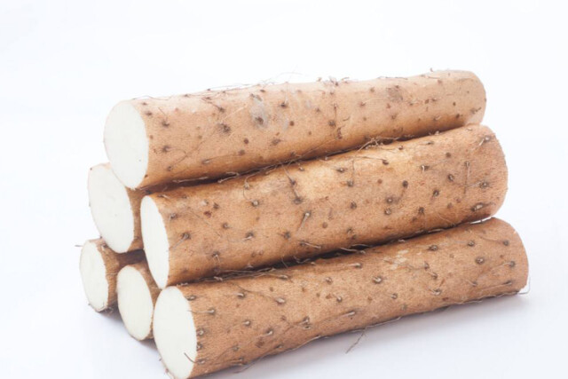 名医来了┃中国近现代中西医结合第一人 你知道是谁吗？