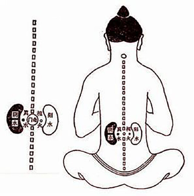 阴虚和阳虚是怎么回事儿？老中医教你来分辨