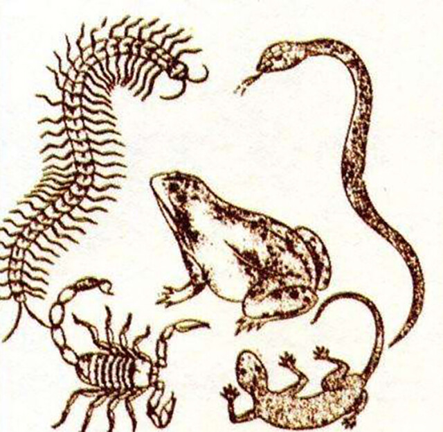 如何避免肿瘤治疗的误区？肿瘤专家告诉你！