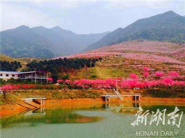 湘乡市翻江镇：农业强镇 产业富镇 生态美镇