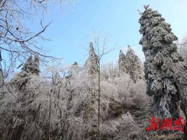 这个冬季，来大围山赏雾凇体验冰雪奇缘