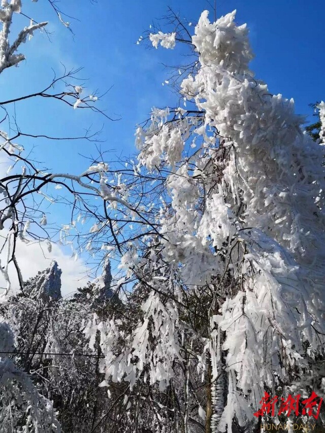 这个冬季，来大围山赏雾凇体验冰雪奇缘