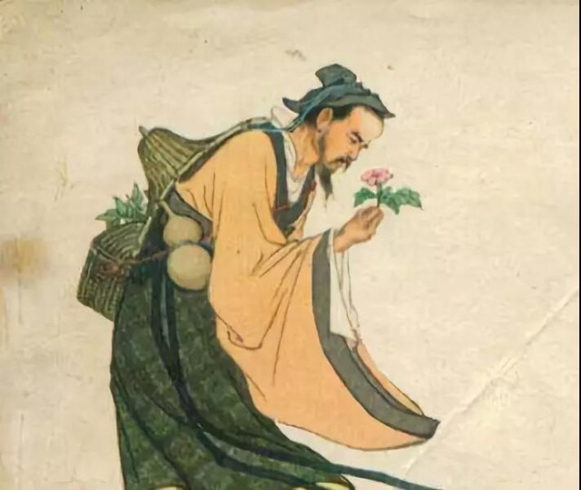 神医华佗留给后世哪些良药？