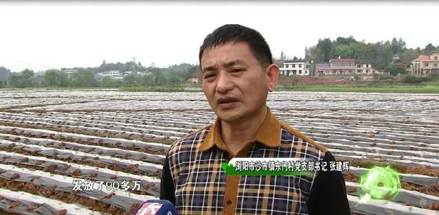 浏阳东门村：以党建为引领打造和谐魅力乡村