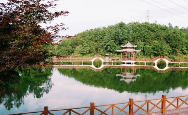 浏阳东门村：以党建为引领打造和谐魅力乡村