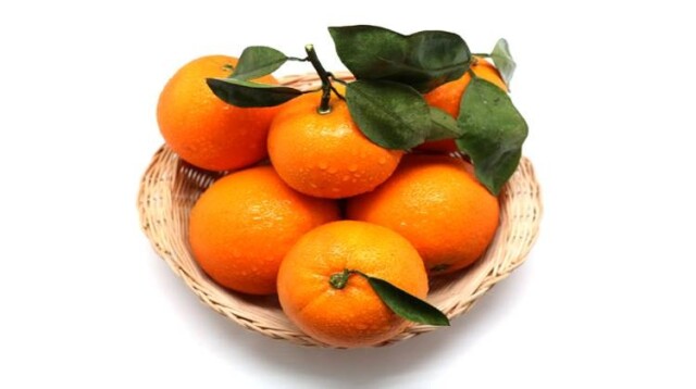 愿做宜章脐橙品质化发展的“火车头”