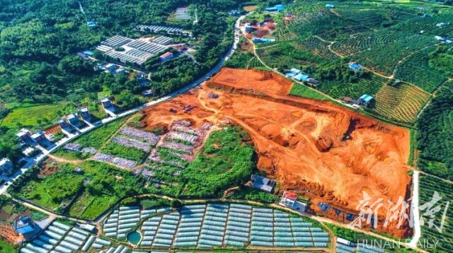 愿做宜章脐橙品质化发展的“火车头”