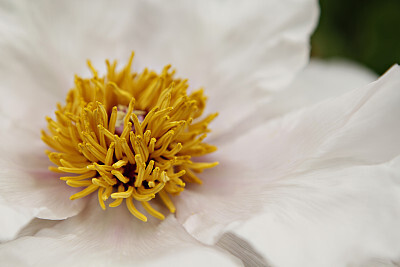 晚安湖南｜你所有的付出都有意义