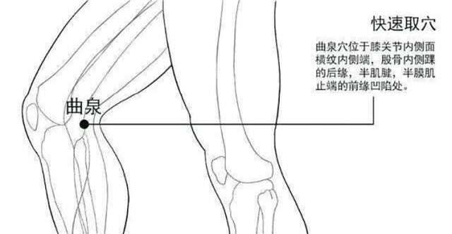 肝肾不足怎么办？四招帮你益肝血、固肾精！