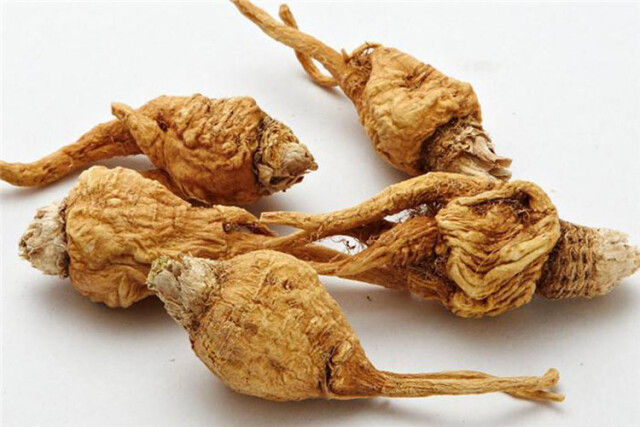 早泄苦不堪言，中医让你不再“泄气”！