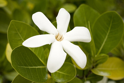 晚安湖南｜身处低谷，怎么走都是向上