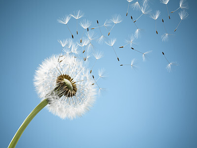 晚安湖南｜做一个迎风奔跑的人