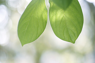 晚安湖南｜做一个迎风奔跑的人