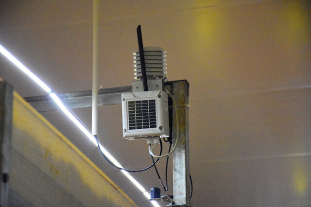 姜畲现代农业示范园：农场变“聪明”了 小蘑菇也用上了“智能家居”