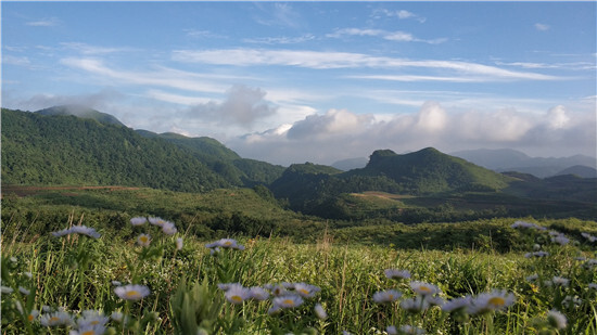 张家界桑植:南滩草场入选国家草原自然公园试点名单