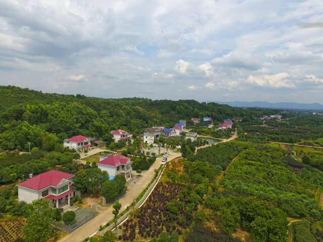 浏阳乡村旅游火炬在传递一一探神奇社港,品绿色镇头