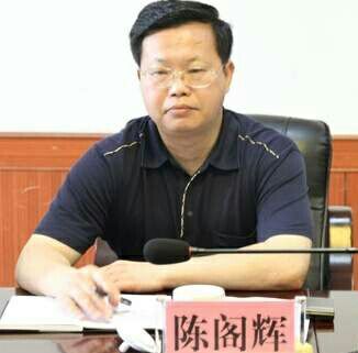 云溪区委书记张中于汨罗市委书记喻文湘阴县委书记汪灿岳阳县委书记田