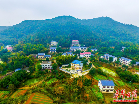 寻村| 望城光明村:倚山水筑巢引凤 展宏图安居乐业