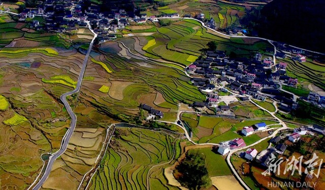 3月26日,花垣縣麻慄場鎮沙科村,通村公路穿過美麗的梯田.