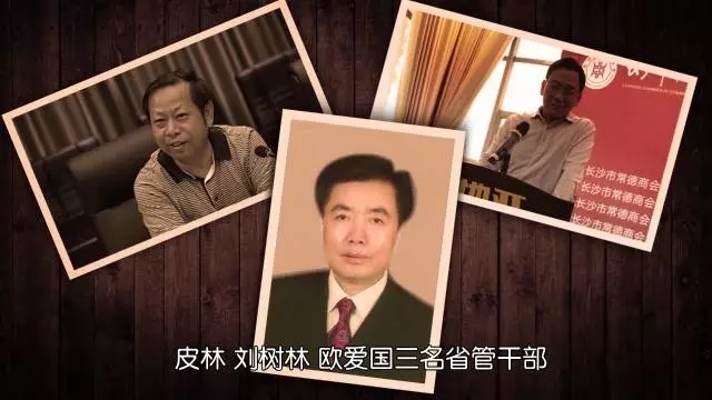 211名厅级干部被查……湖南"打虎拍蝇"这五年