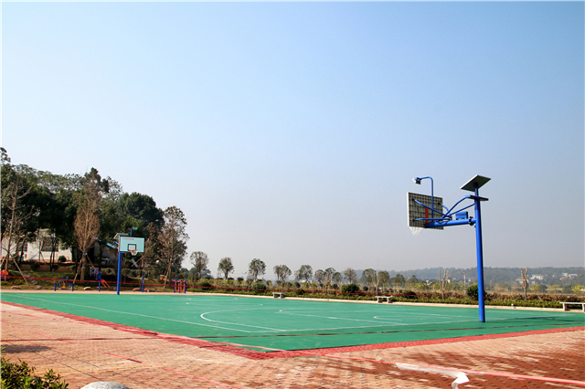 湖南乡村振兴探索丨宁乡陈家桥村勤劳与奉献造就美丽家园