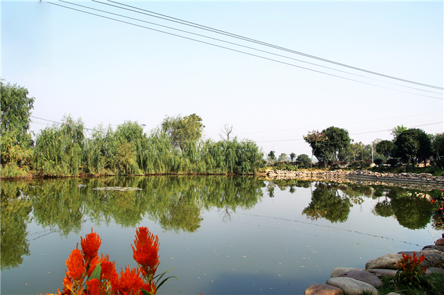 湖南乡村振兴探索丨宁乡陈家桥村勤劳与奉献造就美丽家园