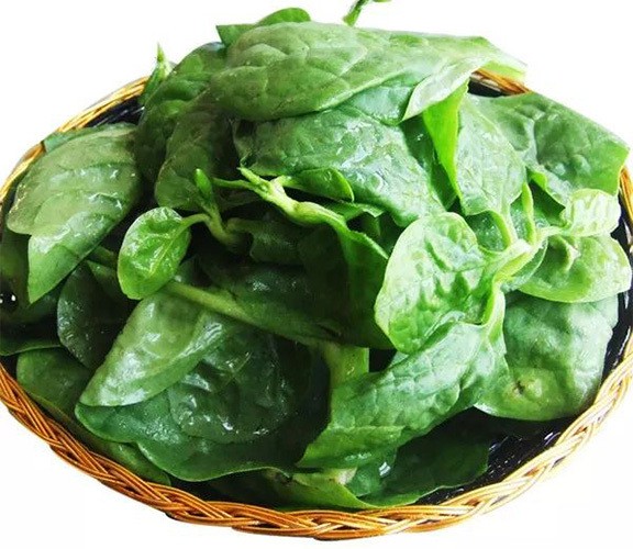 这四种常见蔬菜 孕妈一定不能吃