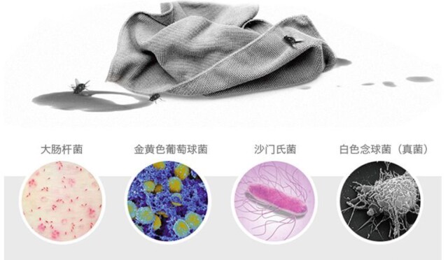 别再忽视厨房"细菌培养皿"!抹布可致食物中毒