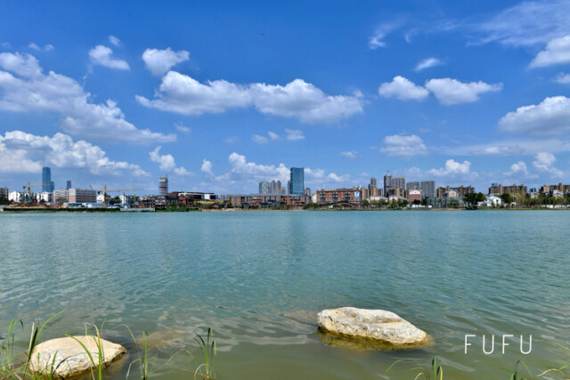后湖景色 新湖南