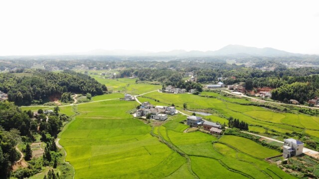 湘乡市金石镇文星村